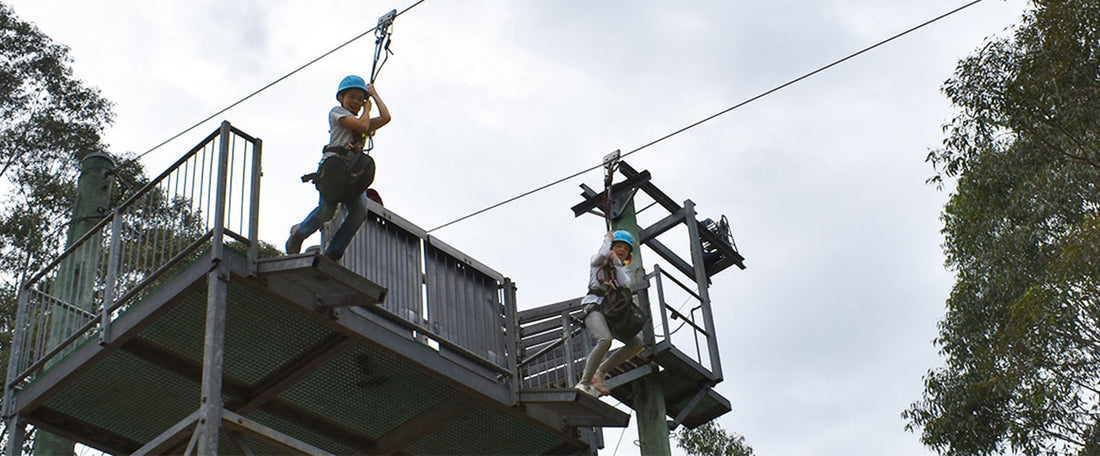 Flying Fox Pulley
